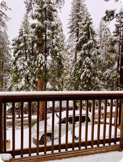 22461 Ponderosa Drive, Twain Harte CA: https://media.crmls.org/mediaz/38a3929a-1329-4076-9811-efe11dd65fe7.jpg