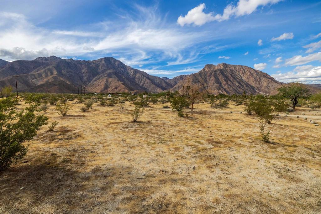 MLS #NDP2510945 image #39