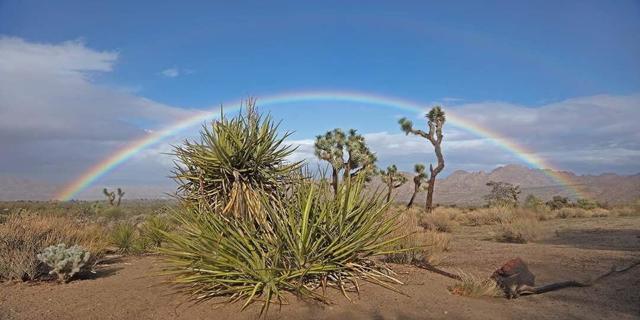 58189 Sunny Sands Drive, Yucca Valley CA: https://media.crmls.org/mediaz/38c2aa00-01f5-47b6-8293-fbabf65f2059.jpg