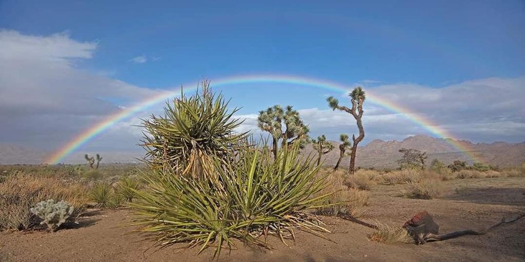 MLS #219136764DA image #47