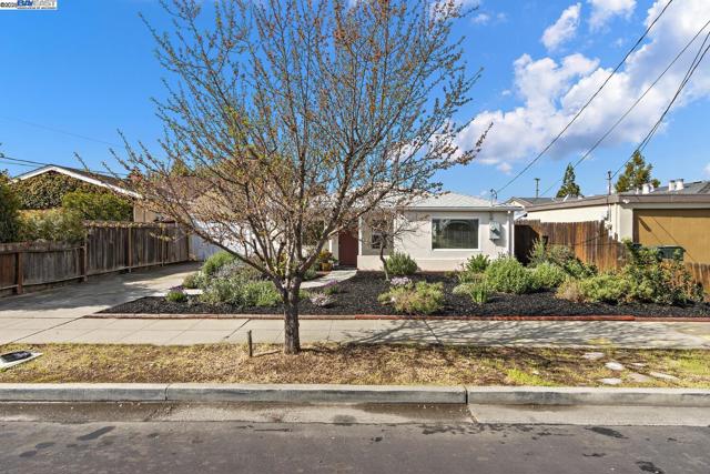 633 N P St, Livermore CA: https://media.crmls.org/mediaz/38c746a3-cf22-43ac-b4e5-5933ee0c7a4e.jpg