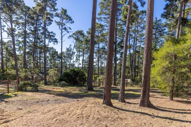 1424 Oleada Road, Pebble Beach CA: https://media.crmls.org/mediaz/38d66e6c-1b7d-4279-98e2-06c5cc8296f8.jpg