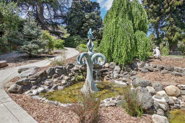 13056 Brandywine Drive, Saratoga CA: https://media.crmls.org/mediaz/38d91be0-02d3-448d-a179-56001e9fe40a.jpg