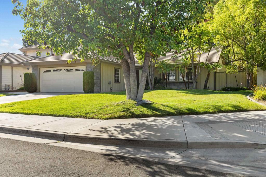 31390 Corte Camarillo