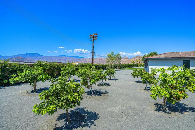 79869 Hummingbird Lane, La Quinta CA: https://media.crmls.org/mediaz/38e7b767-9ba7-450b-ace1-6cb384283e27.jpg