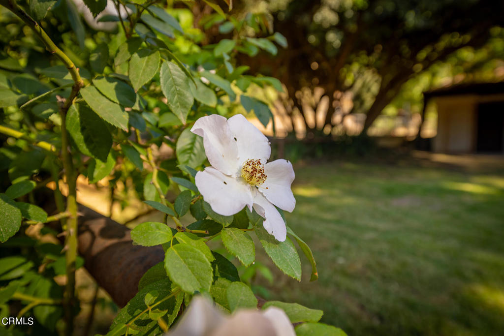 https://media.crmls.org/mediaz/38e8267f-f3b3-426b-b676-58b4733784ce.jpg?preset=X-Large