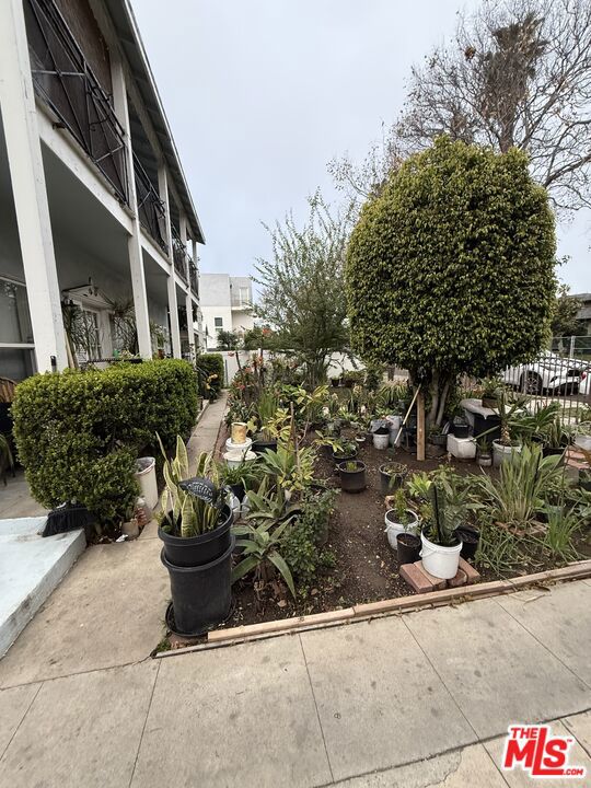 6640 Leland Way, Los Angeles CA: https://media.crmls.org/mediaz/38ee8d75-fefb-4850-9315-5d790462b3cb.jpg