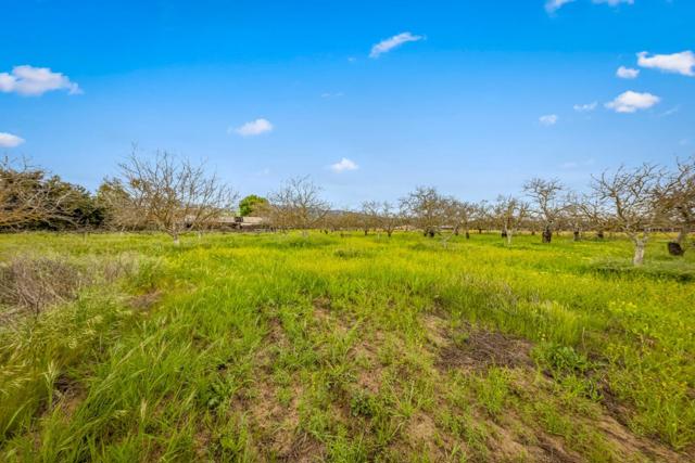 13755 Columbet Avenue, San Martin CA: https://media.crmls.org/mediaz/38efa088-4158-4653-af3b-52f95b2a14a6.jpg