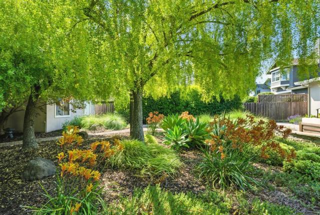 263 W Oakwood Boulevard, Redwood City CA: https://media.crmls.org/mediaz/390a2187-ed1e-4676-b645-2946f2054563.jpg