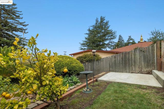 1494 Olive Ave, Richmond CA: https://media.crmls.org/mediaz/390c98cf-74d6-4e28-82ad-fe9ec8781ee1.jpg