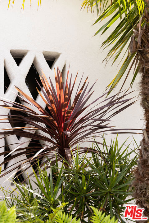 1012 Superba Avenue, Venice CA: https://media.crmls.org/mediaz/3910558f-4bfb-4a18-a971-c30b97d9d114.jpg