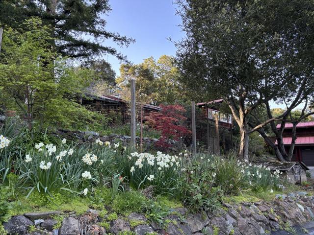 108 Santa Maria Avenue, Portola Valley CA: https://media.crmls.org/mediaz/3919cd08-d94e-4d85-b383-d94cc14feff9.jpg
