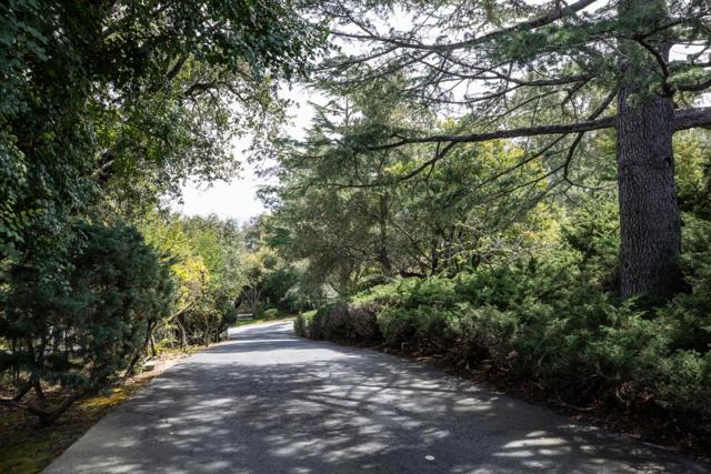 252 Raymundo Drive, Woodside CA: https://media.crmls.org/mediaz/391a480e-3084-477c-b91f-91ec133f14f2.jpg