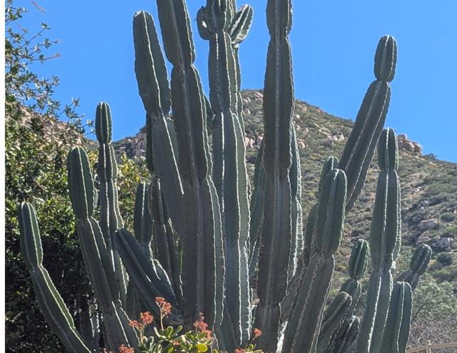 Detail Gallery Image 37 of 45 For 3333 Suncrest Bld, El Cajon,  CA 92021 - 5 Beds | 2 Baths