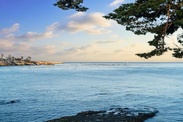 421 Oxford Way, Santa Cruz CA: https://media.crmls.org/mediaz/391e0a70-07ca-4b07-8017-787e7b7a2464.jpg