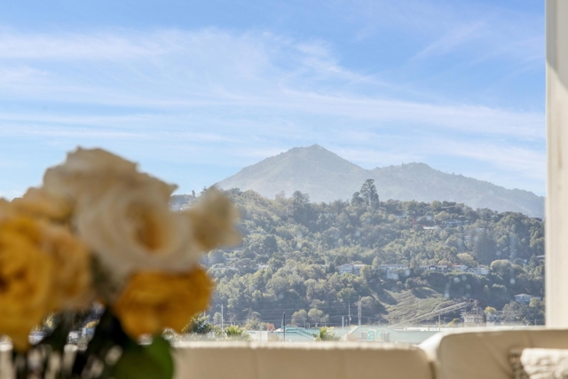 28 Marina Court Dr, San Rafael CA: https://media.crmls.org/mediaz/3922b9e7-27fb-45c9-8144-ec02913d2a8d.jpg