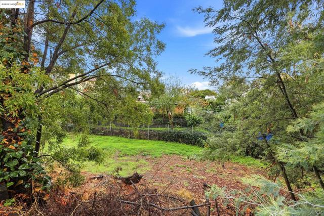 2430 27th Ave Unit D, Oakland CA: https://media.crmls.org/mediaz/3922f6f8-d7d8-4a28-9da2-94d801bd41fb.jpg