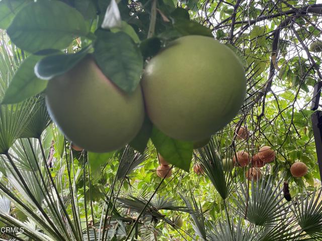 Detail Gallery Image 27 of 34 For 9212 Creemore Dr, La Crescenta,  CA 91214 - 3 Beds | 3 Baths