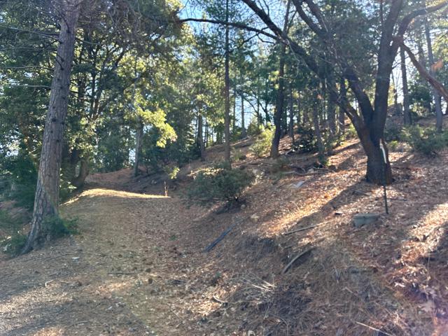 0 Green Craig, Idyllwild CA: https://media.crmls.org/mediaz/393473e3-30d2-4c59-a759-9e05d2886e39.jpg
