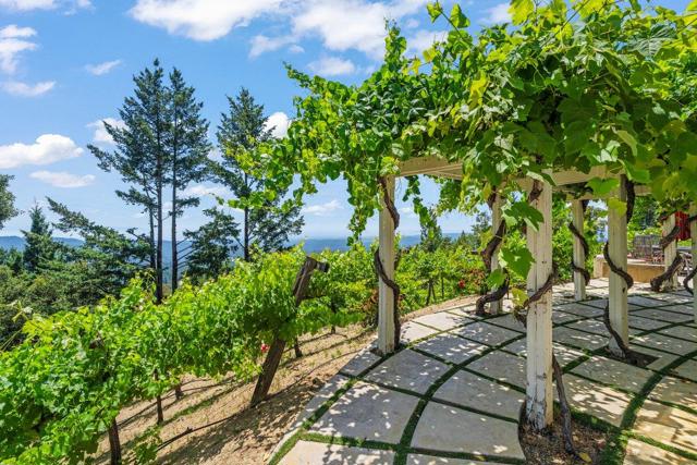 25220 Quail Ridge Road, Los Gatos CA: https://media.crmls.org/mediaz/393e1eb5-d567-43c0-a8ba-2ed0a2542839.jpg