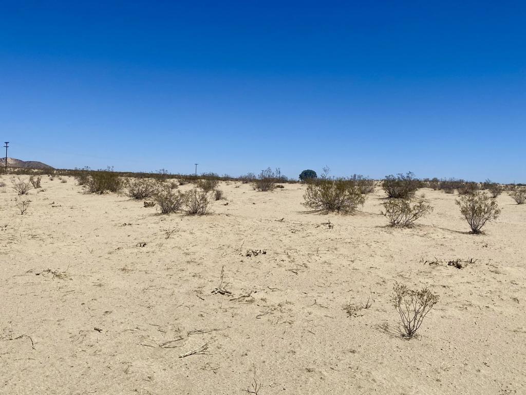 MLS #219133463PS image #10