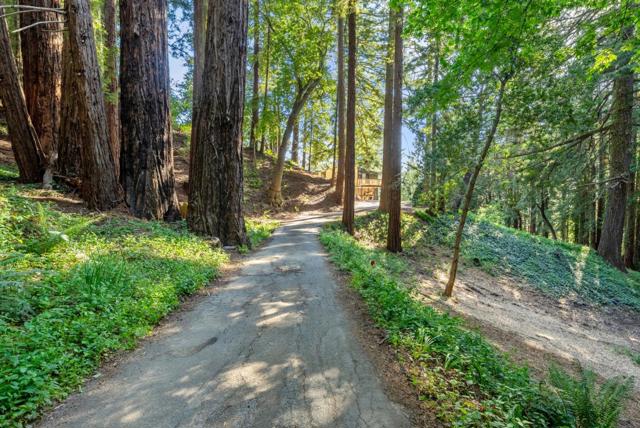 50 Ocean View Road, Los Gatos CA: https://media.crmls.org/mediaz/39437e73-bc72-4788-924a-71dd6f5ace6f.jpg