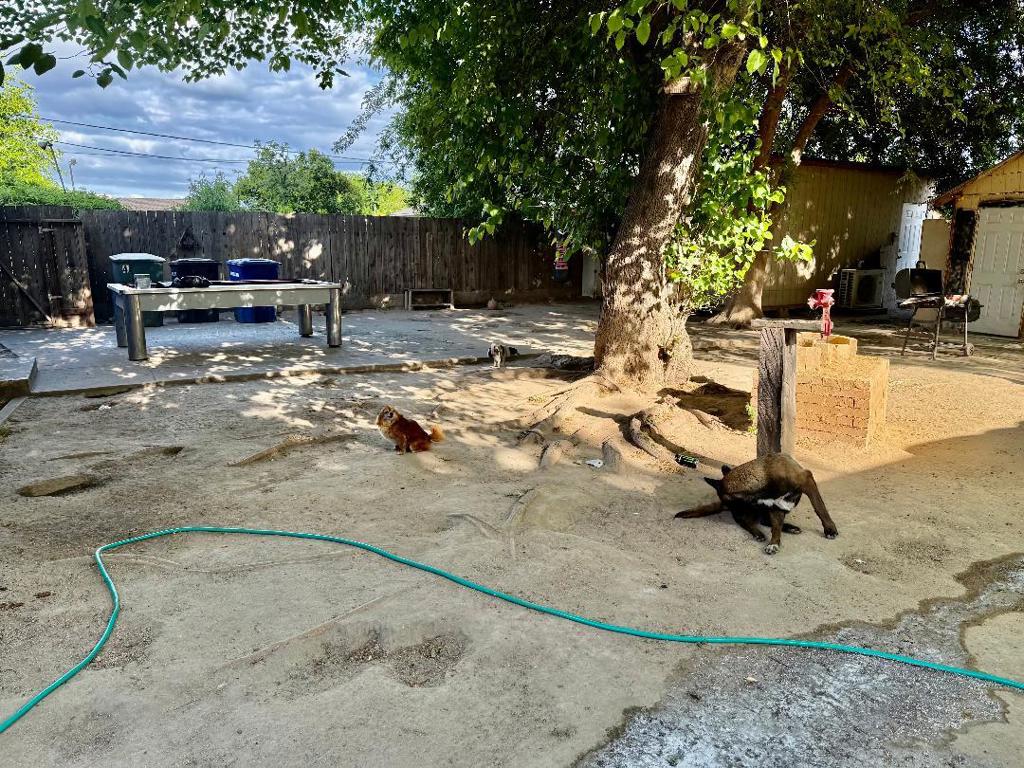 3952Fe8F Be63 4B7B B7C9 D096C3F4F9Ed 4208 Esmail Avenue, Keyes, Ca 95328 &Lt;Span Style='BackgroundColor:transparent;Padding:0Px;'&Gt; &Lt;Small&Gt; &Lt;I&Gt; &Lt;/I&Gt; &Lt;/Small&Gt;&Lt;/Span&Gt;