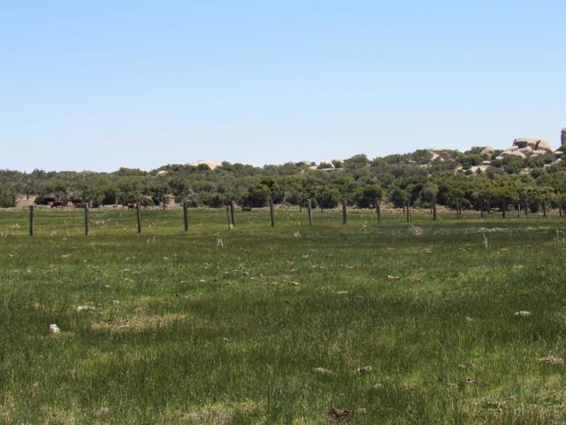 Detail Gallery Image 33 of 47 For 200 Acres Mccain Valley Rd, Boulevard,  CA 91905 - – Beds | – Baths