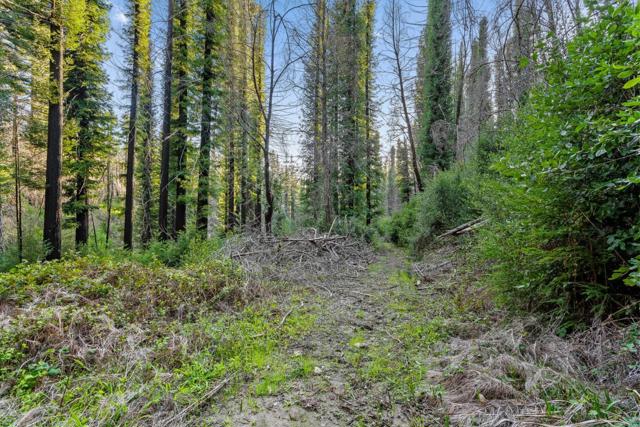 21200 Big Basin Way, Boulder Creek CA: https://media.crmls.org/mediaz/3956d326-1ac4-4309-b05c-72cc178e6445.jpg