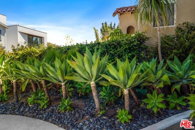 119 Paloma Avenue, Venice CA: https://media.crmls.org/mediaz/395c3257-5c29-439c-a6dd-47709bcd3d80.jpg