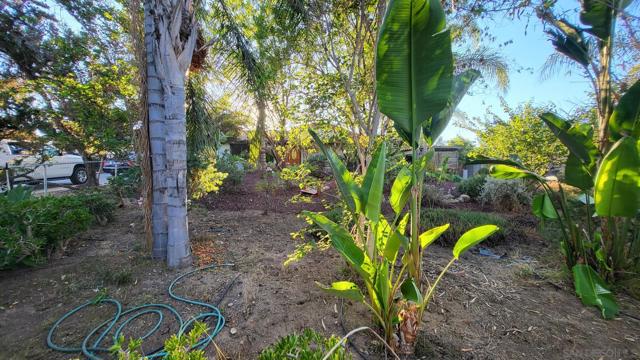 157 Los Banditos, Ramona, California 92065, 3 Bedrooms Bedrooms, ,2 BathroomsBathrooms,Single Family Residence,For Sale,Los Banditos,240023123SD