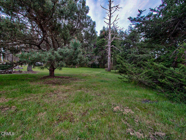 Detail Gallery Image 16 of 26 For 19100 Summers Ln, Fort Bragg,  CA 95437 - – Beds | – Baths