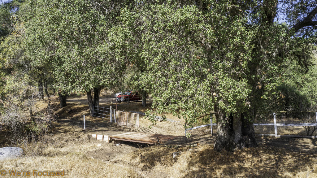MLS #219131126DA image #5