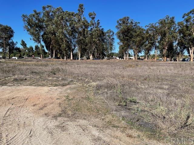 315 Hunter Street, Ramona, California 92065, ,Land,For Sale,315 Hunter Street,CRPTP2306119