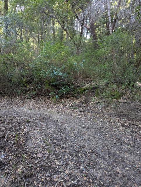 11259 Fresco Street, Felton CA: https://media.crmls.org/mediaz/397fc858-ffd0-4530-a856-c24c91c554f5.jpg