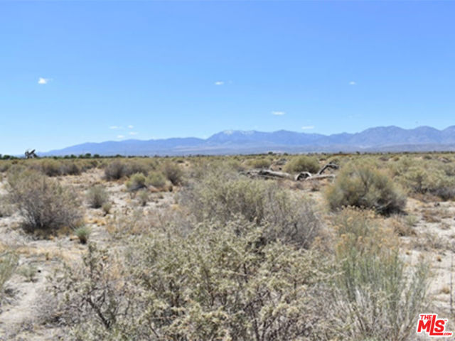 0 TH Ave R14 Vic 147th Ste, Sun Village CA: https://media.crmls.org/mediaz/39819d0f-aa03-4a4d-a48f-b90eaf78cd6e.jpg