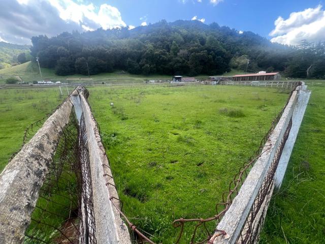 5390 Little Uvas Road, Morgan Hill CA: https://media.crmls.org/mediaz/3981b022-d00d-4502-96a0-ad4148ef9c96.jpg