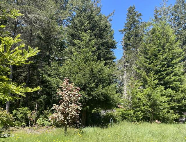 29331 Albion Ridge Road, Albion CA: https://media.crmls.org/mediaz/398f93c9-d5d0-4111-acea-bcb038859e28.jpg