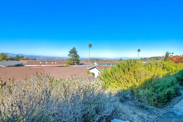 MLS #250038178SD image #39