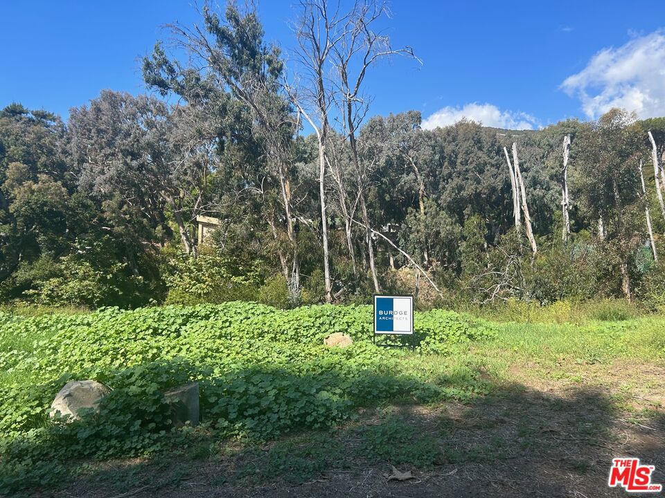 MLS #25515626 img 11