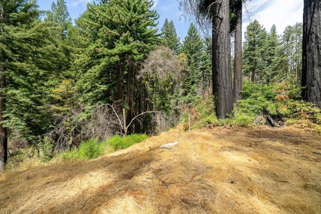 1035 Rambling Road, Boulder Creek CA: https://media.crmls.org/mediaz/399bffec-e740-40bf-9f7a-8e67b4bcf1c7.jpg
