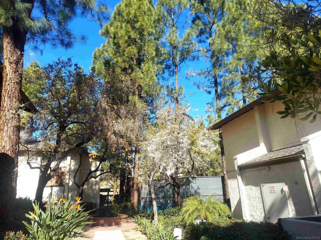 10258 Black Mountain Road