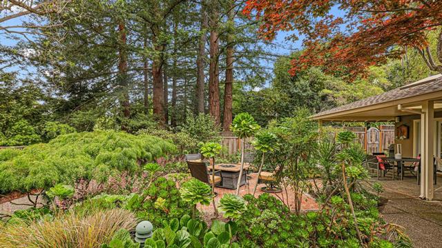 161 E Floresta Way, Portola Valley CA: https://media.crmls.org/mediaz/39a4795d-c327-4392-82fe-446c01b6c7bd.jpg