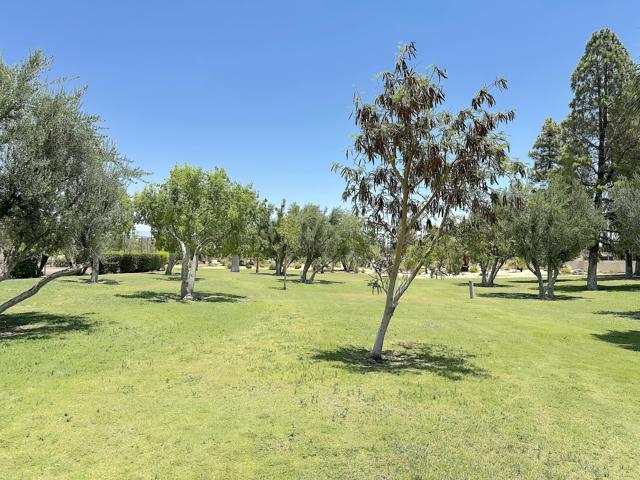 1262 Sunflower N Circle, Palm Springs CA: https://media.crmls.org/mediaz/39a572a1-4b86-4cf6-99f3-1f5fce683fef.jpg