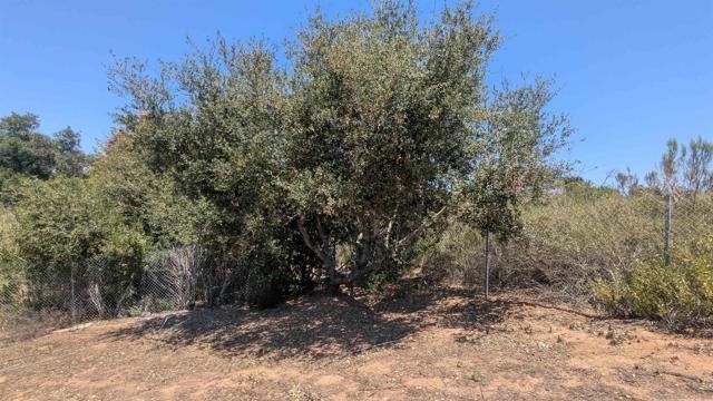 678 Hamilton, Escondido CA: https://media.crmls.org/mediaz/39a78fde-9028-44c6-b546-855b7744db57.jpg