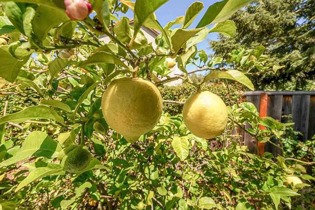 Image 38 of 44 For 327 Brookview Way