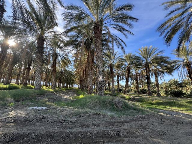 0 Nwc Pierce St & Ave 64, Thermal CA: https://media.crmls.org/mediaz/39b4cc14-8e72-4f73-8067-8748cb3b2a3a.jpg