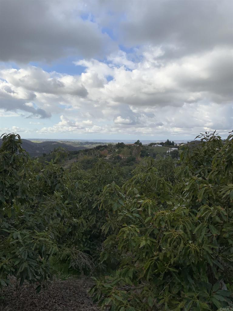 https://media.crmls.org/mediaz/39bec7b1-acda-4616-b28d-85875d31749f.jpg?preset=X-Large