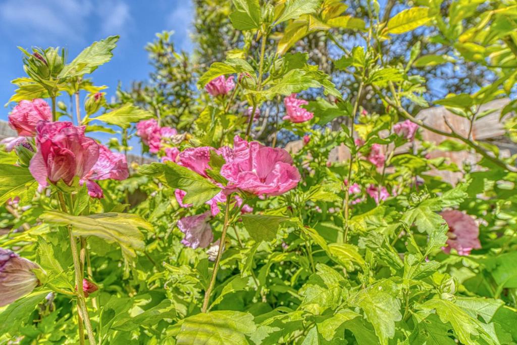 https://media.crmls.org/mediaz/39c18850-f141-4a49-bfa4-a022b3190cde.jpg?preset=X-Large
