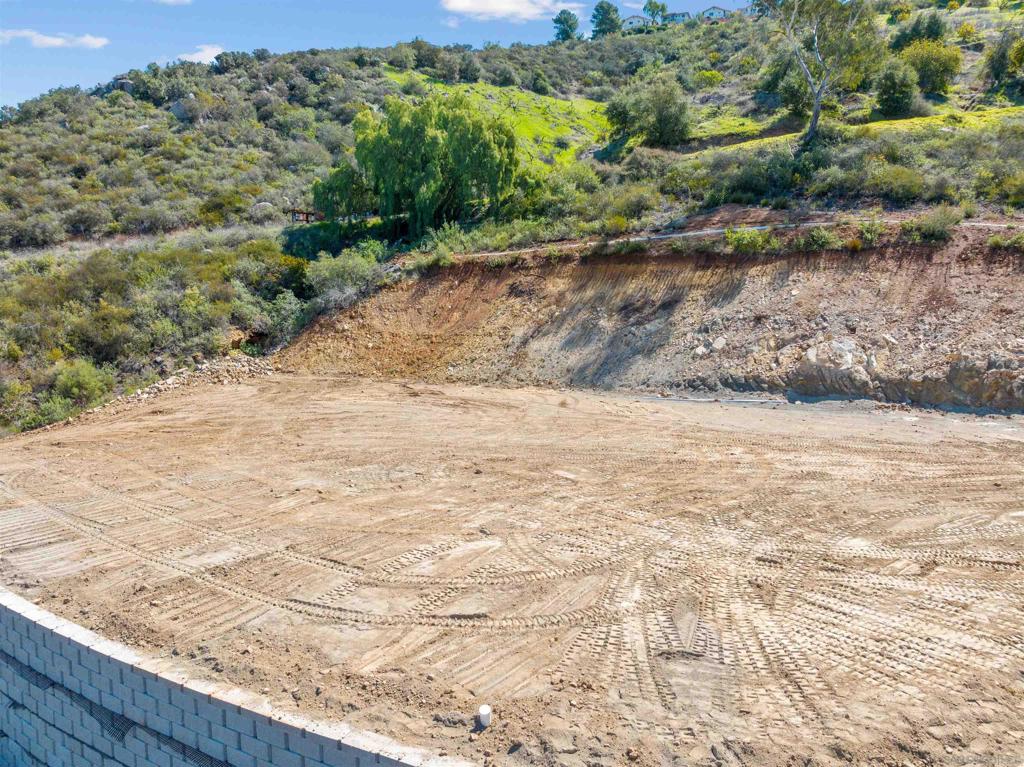 MLS #250022372SD image #20